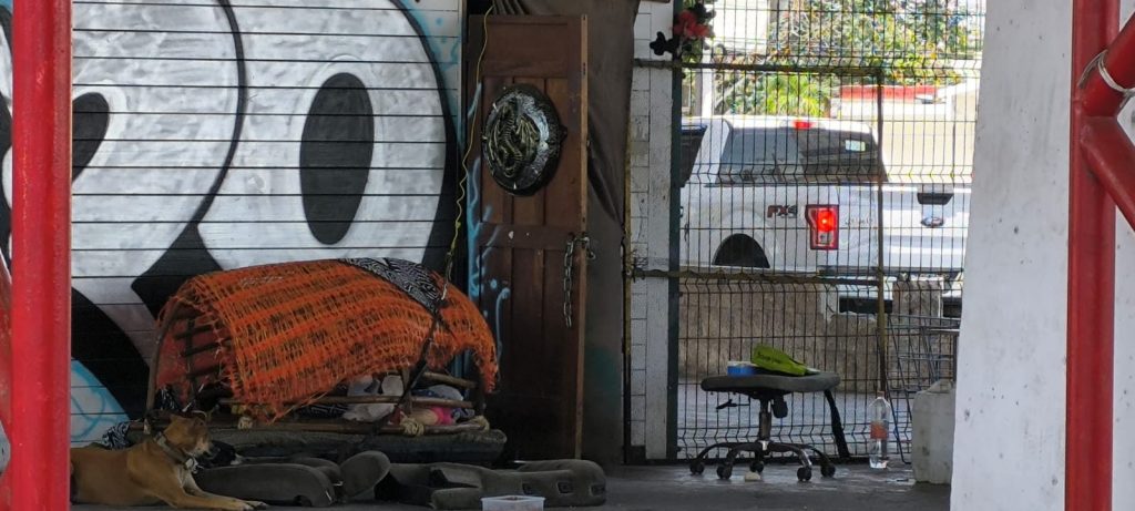 Vista del abandono bajo el puente en Playa del Carmen, ocupado desde hace más de 15 años por personas en situación de calle.