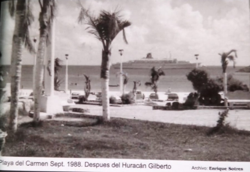 Julia Noh, gestora social de Playa del Carmen, comparte su historia en Historias de Playa.