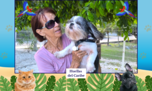 "Pancho", el perrito de Texas que ahora vive feliz en Playa del Carmen.