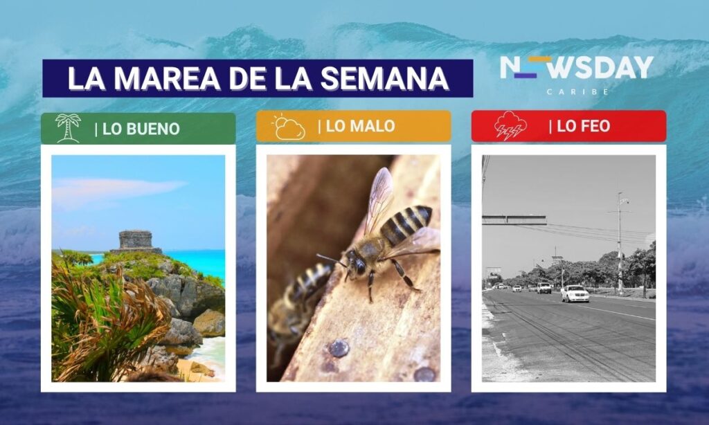 La marea de la semana (3)