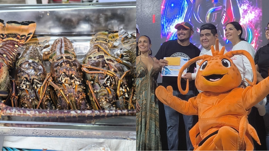 Así se vivió el Festival de la Langosta 2026 en Tulum.