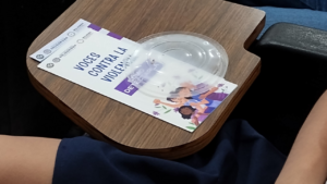 Así funciona el programa Abogadas de las Mujeres en Quintana Roo.