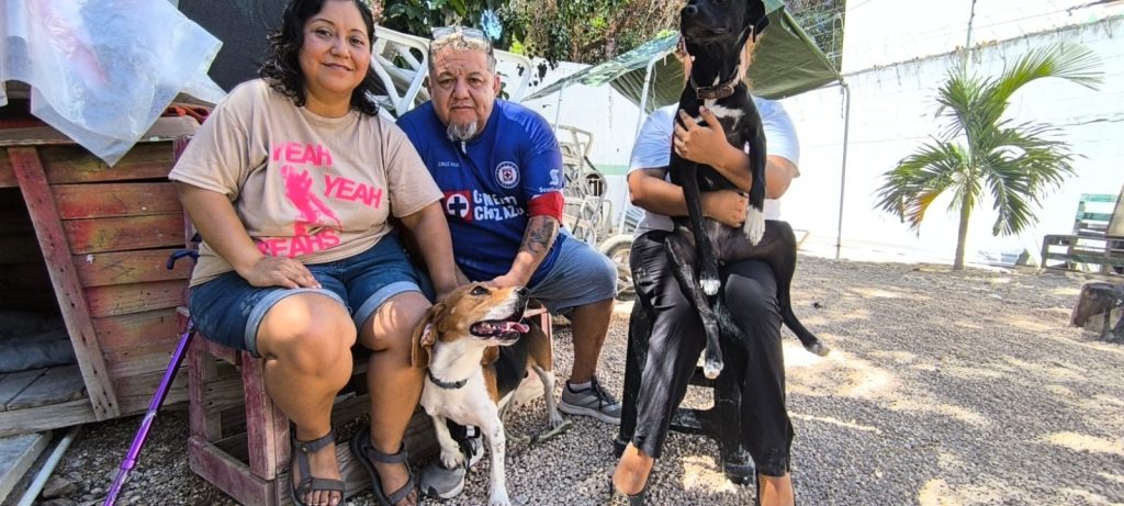 Woof Woof, el hotel para perros en Playa del Carmen, cuida a sus huéspedes caninos con todo el cariño.