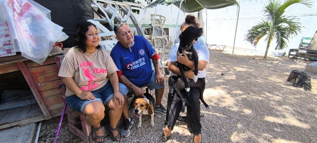 Woof Woof, el hotel para perros en Playa del Carmen, cuida a sus huéspedes caninos con todo el cariño
