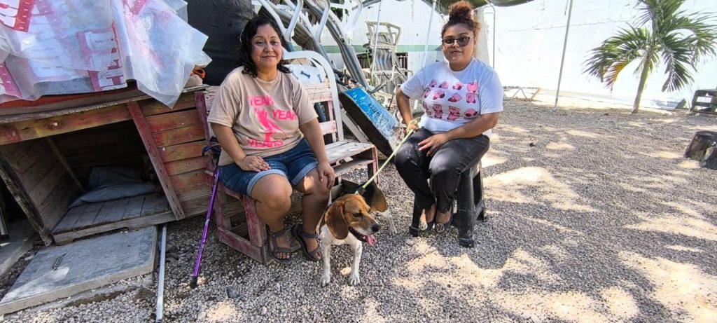 Woof Woof, el hotel para perros en Playa del Carmen, cuida a sus huéspedes caninos con todo el cariño.