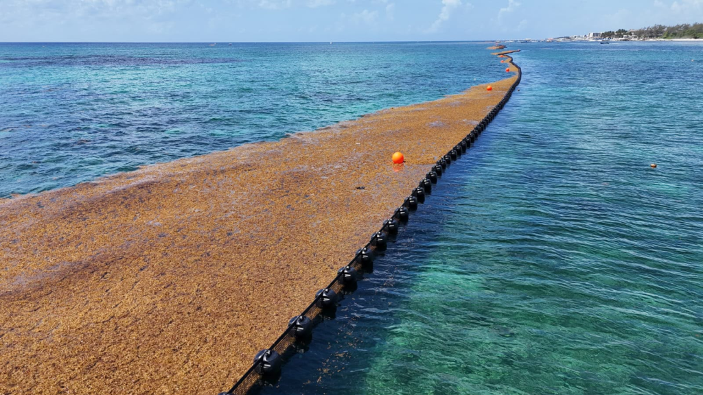Así avanza el proyecto México Imparable en Playa del Carmen.