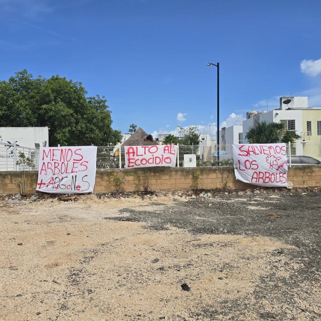 Vecinos protestan por la destrucción del pulmón verde en Palmas II.