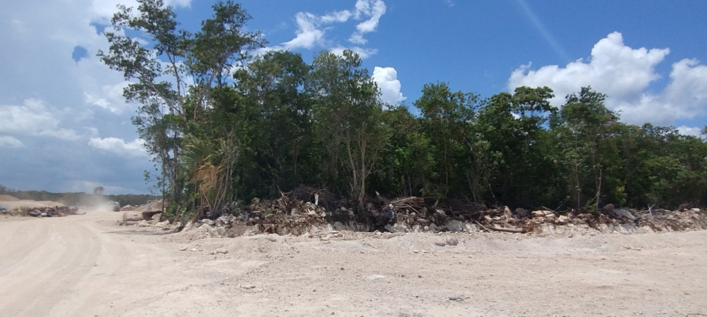 Así se forman las planchas de cemento en Playa del Carmen por falta de arbolado.