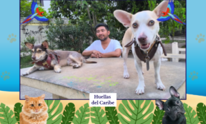 Vecinos del Club Colitas conviven con sus mascotas en el parque Natura de Playa del Carmen.