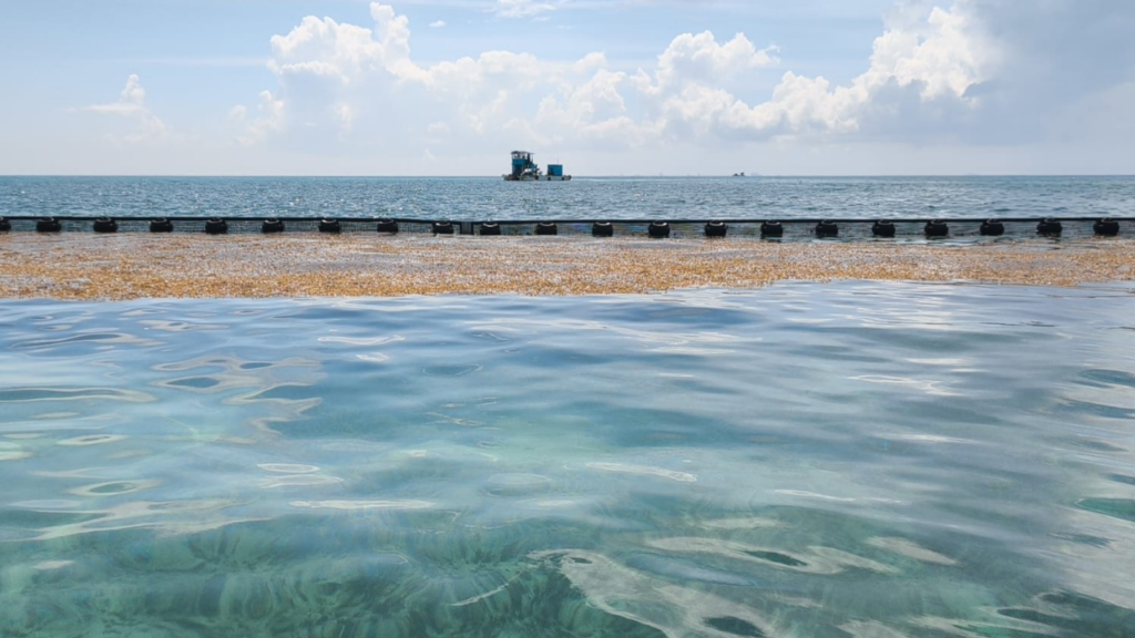 Autoridades supervisan las barreras contra sargazo en Playa del Carmen durante un recorrido en altamar.
