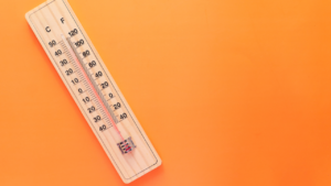 Especialistas advierten sobre los efectos de El Niño en Quintana Roo, entre ellos más sargazo y estrés en los arrecifes de coral.