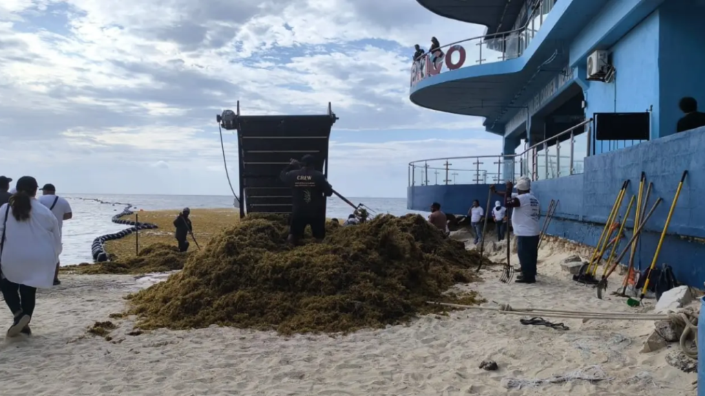 La atención de sargazo en Quintana Roo enfrenta un gasto hotelero superior a 150 millones de dólares al año.