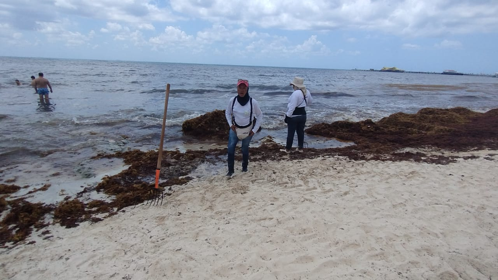La atención de sargazo en Quintana Roo enfrenta un gasto hotelero superior a 150 millones de dólares al año.