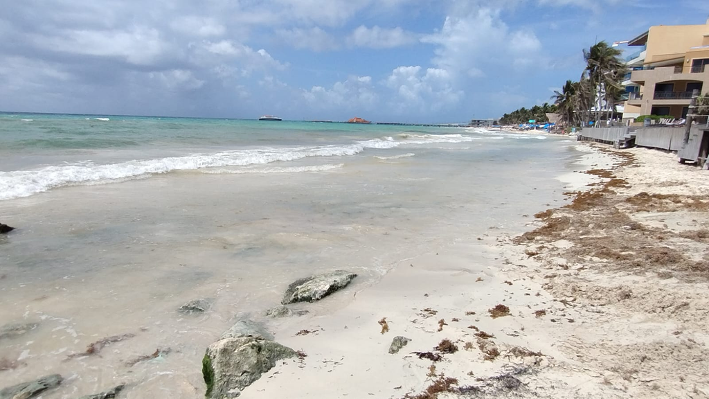 La atención de sargazo en Quintana Roo enfrenta un gasto hotelero superior a 150 millones de dólares al año.
