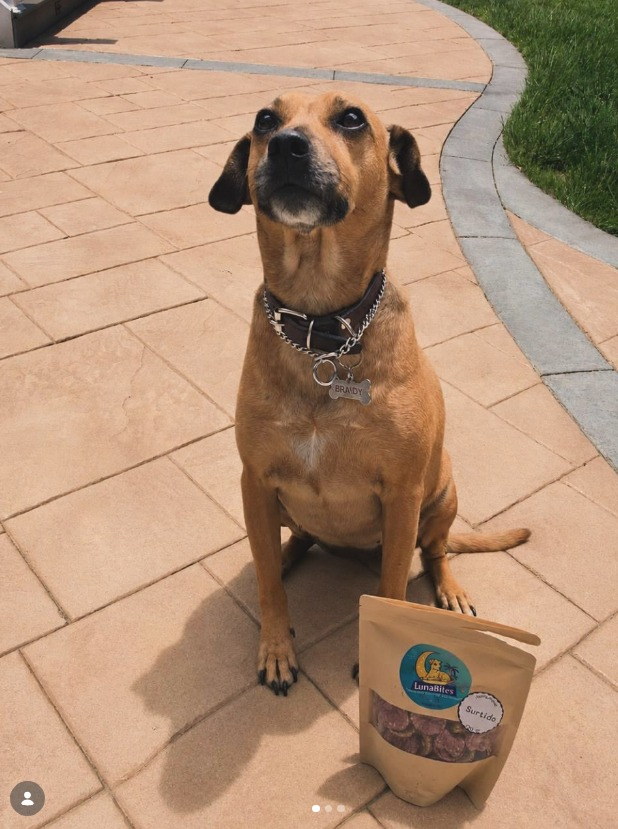 Lunabites es el negocio de botanas para perros creado por Vanessa Ortiz en honor a su perrita Luna.