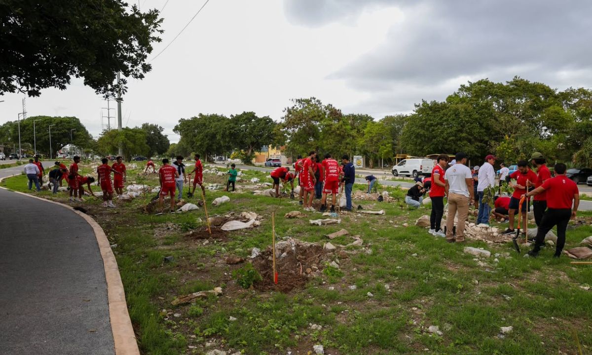 Arboriza Cancún suma 150 árboles plantados en la avenida 20 de Noviembre (2)