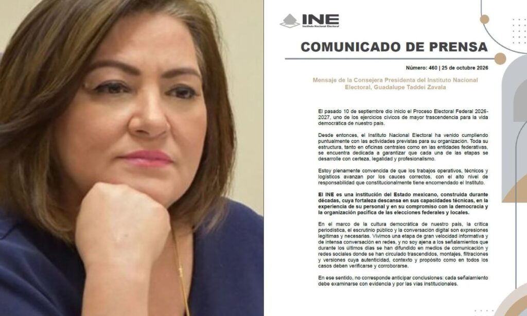 Guadalupe Taddei anuncia que presentará su renuncia a la presidencia del INE