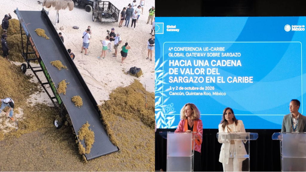 El sargazo que impacta al Caribe mexicano fue tema central de la conferencia internacional realizada en Cancún.