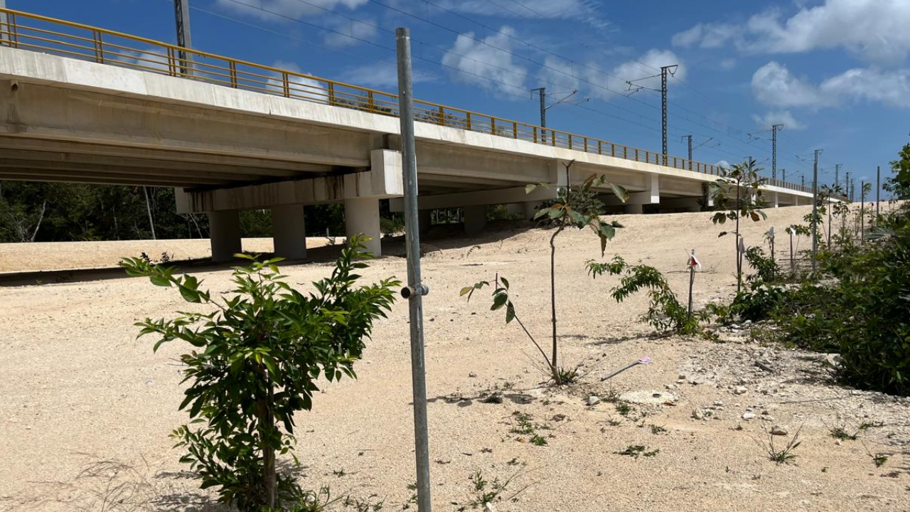 Sedena retiró el alambrado del tramo elevado del Tren Maya tras las denuncias del colectivo Sélvame del Tren.