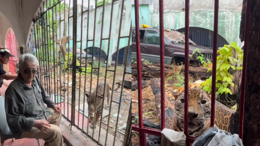 Así fue como Pepe Tigre pierde su predio en la Zona Hotelera de Cancún.