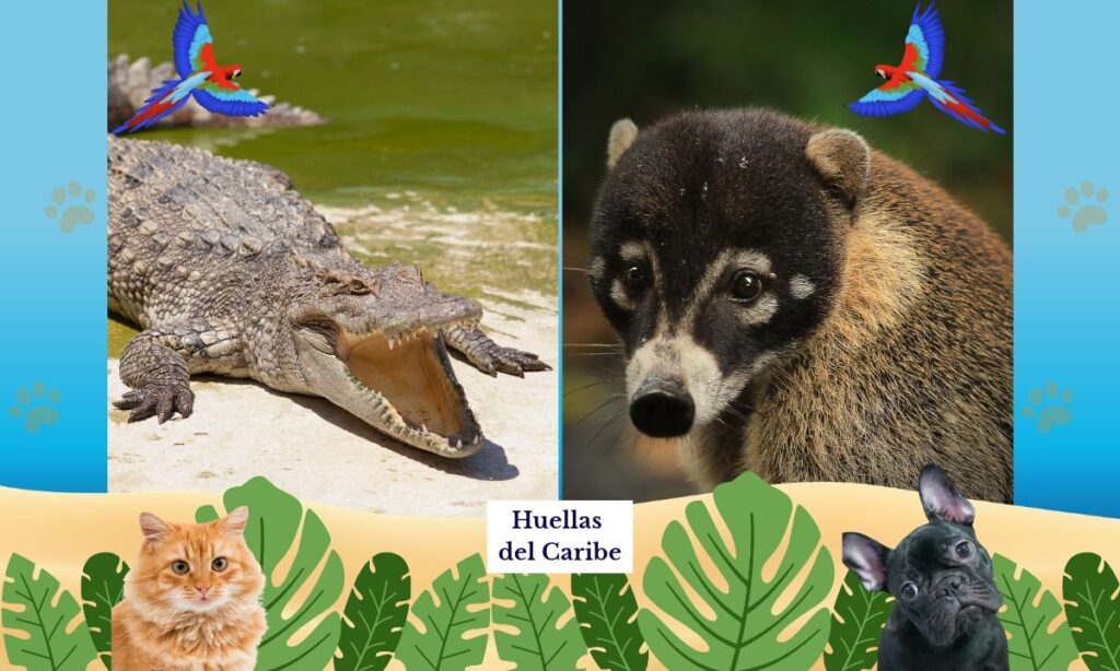 encontrar un animal silvestre