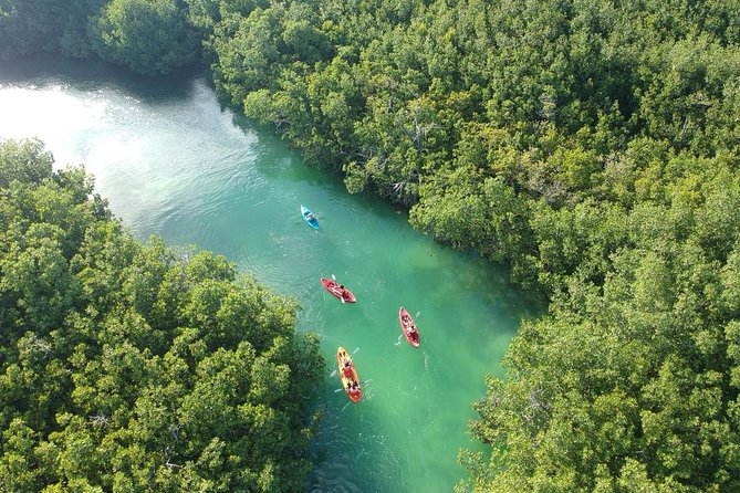 Planes para hacer solamente en Cancún: experiencias que no existen en ningún otro destino del Caribe mexicano.