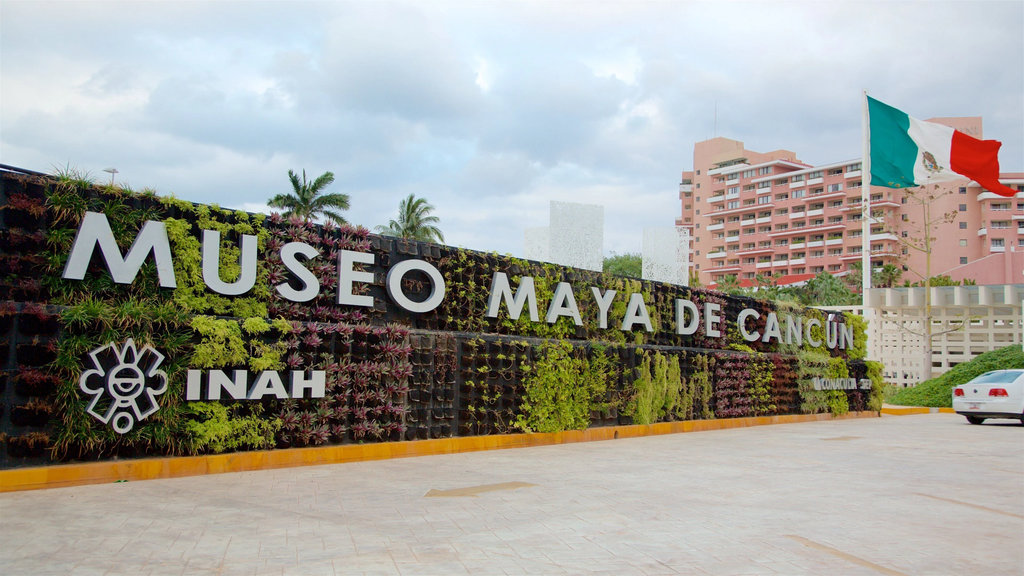 Planes para hacer solamente en Cancún: experiencias que no existen en ningún otro destino del Caribe mexicano.