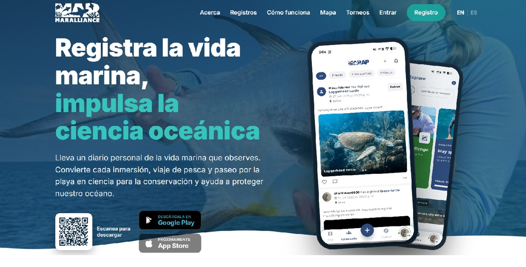 Marap permitirá a ciudadanos y turistas registrar avistamientos marinos en Playa del Carmen.
