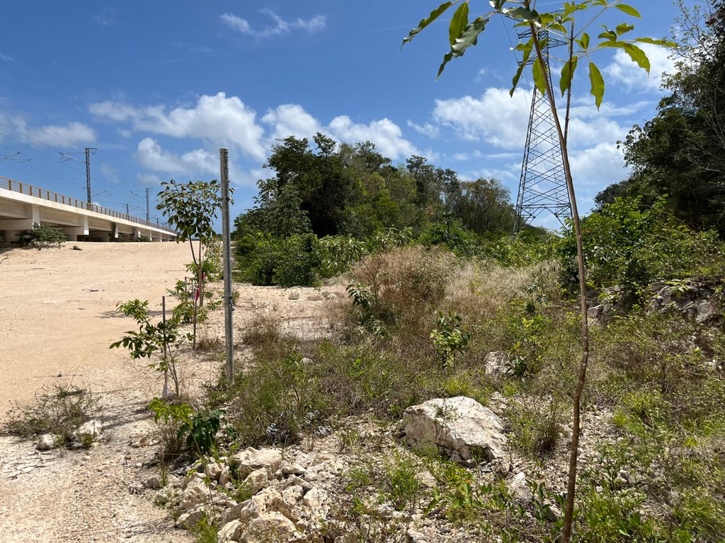 Sedena retiró el alambrado del tramo elevado del Tren Maya tras las denuncias del colectivo Sélvame del Tren.