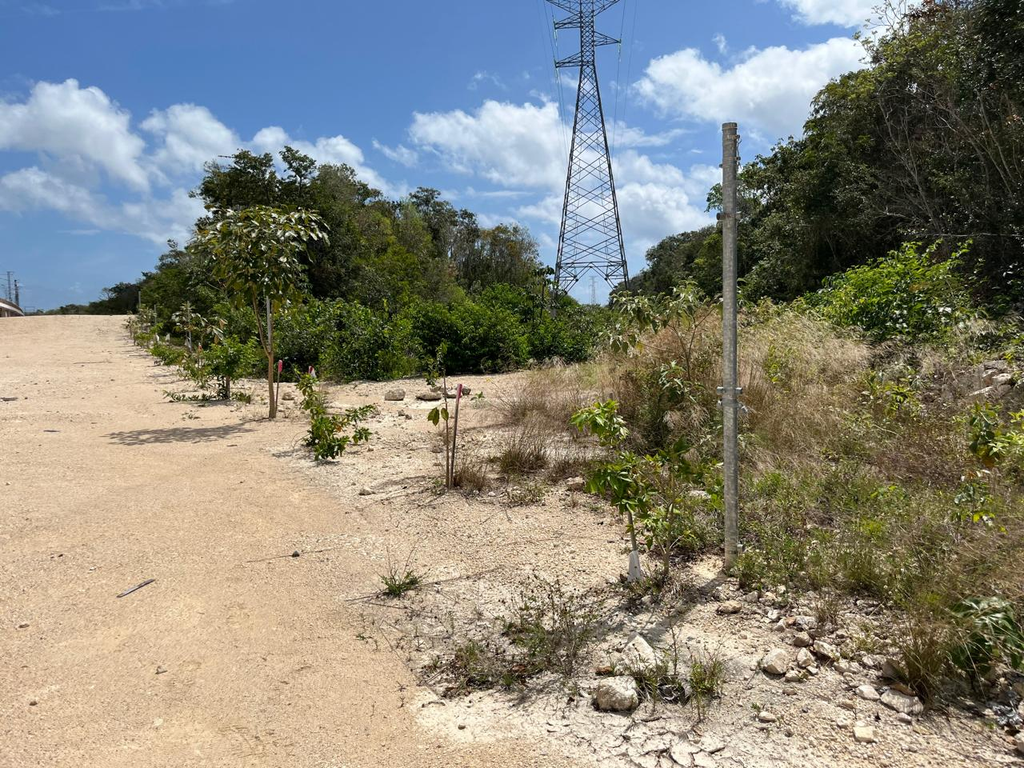 Sedena retiró el alambrado del tramo elevado del Tren Maya tras las denuncias del colectivo Sélvame del Tren.