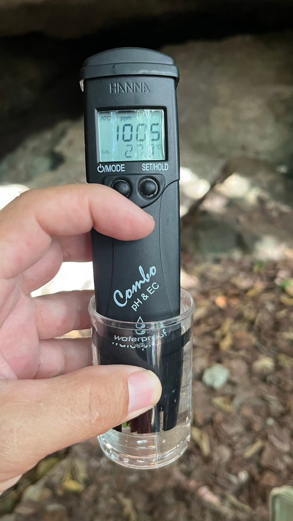 Expertos descartan riesgo de ameba comecerebros en cenotes de Playa del Carmen, pero alertan por contaminación fecal.