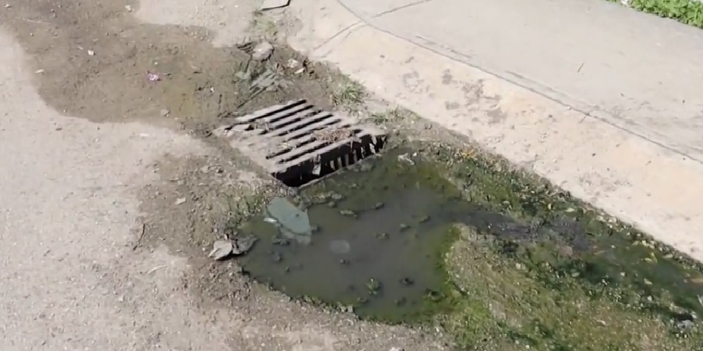 Expertos descartan riesgo de ameba comecerebros en cenotes de Playa del Carmen, pero alertan por contaminación fecal.