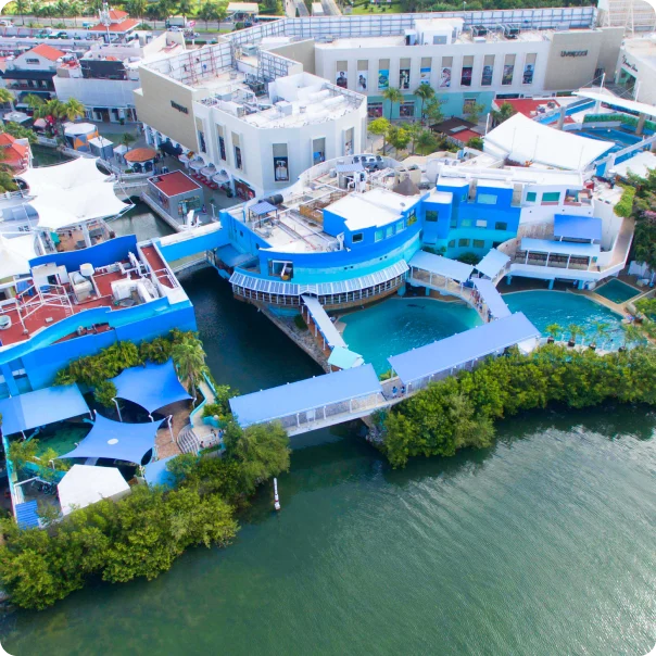 Qué hacer en familia en Cancún: 5 planes por menos de 500 pesos, desde opciones gratis hasta parques temáticos.